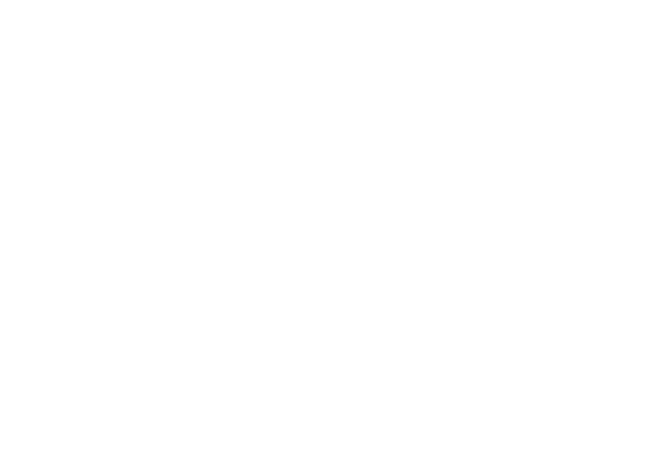 Société d Histoire et d Archéologie de Saint-Emilion Logo